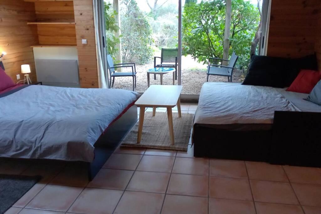 Studio 32M2 - Dans Propriete Avec Vue Imprenable Sur Le Lac Du Salagou Liausson Zewnętrze zdjęcie